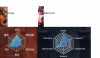 Форс Ган.png