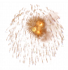 29097417re.png