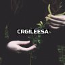 CRG!Leesa