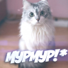 МурМур!*