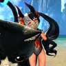 Velada Exp