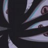 brs20