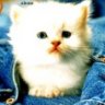 ^Hugo