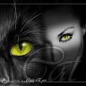 Pantherss