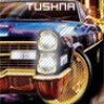 Tushna