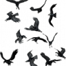 napstric