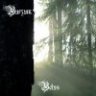 Depechist