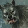 Skald