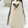 Veknilash
