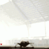 DmiSP