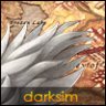 DarkSim