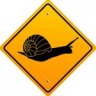 SnAiL2010