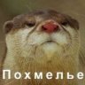 VaTakaT*54rus