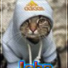 djon18rus