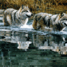 WolchishkO