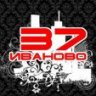 регион 37