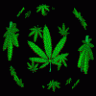 N@RKO$H@