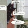 олега2307