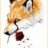 DFoxe